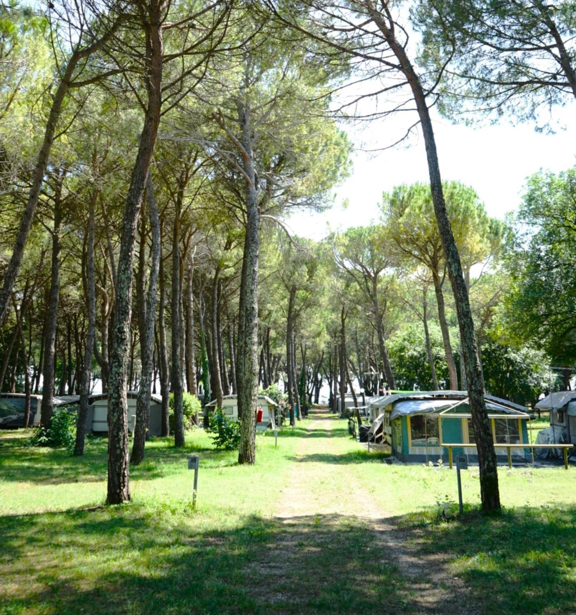 Belvedere Pineta Camping Village Grado Exterior photo
